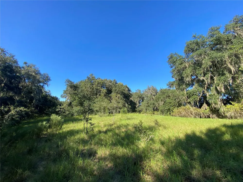 8701 S FRUITION AVENUE Floral City, FL 34436