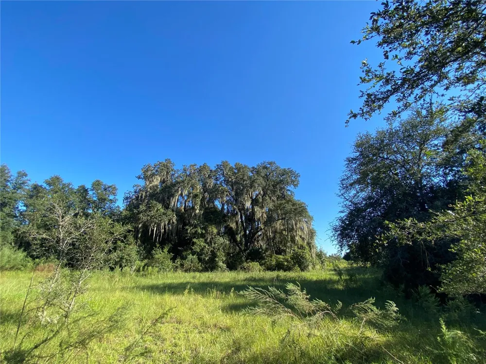 8701 S FRUITION AVENUE Floral City, FL 34436