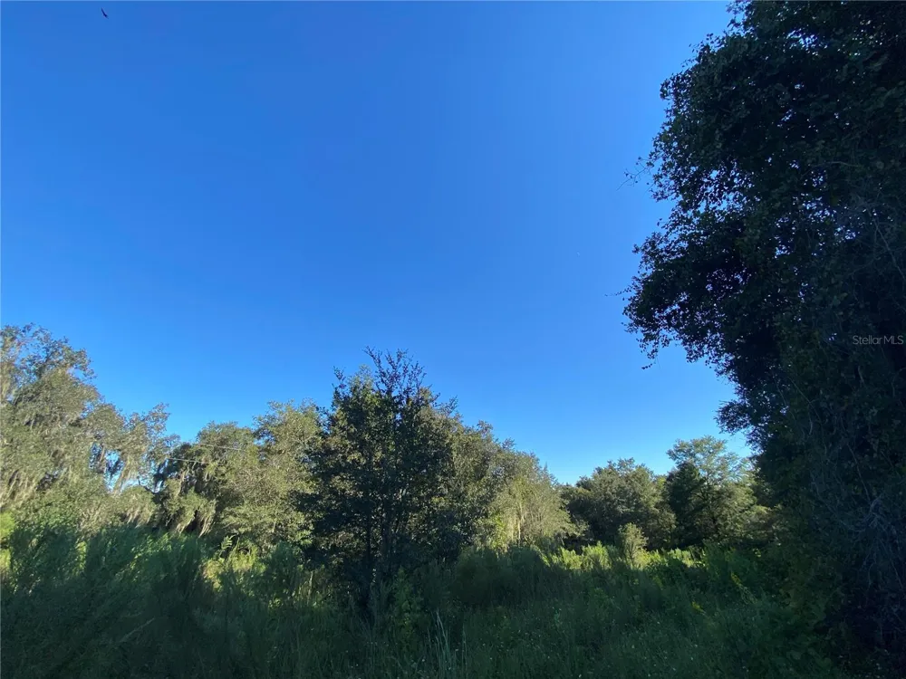 8701 S FRUITION AVENUE Floral City, FL 34436