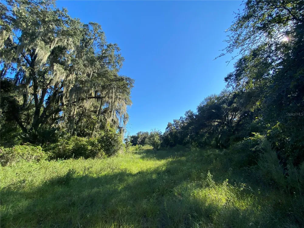 8701 S FRUITION AVENUE Floral City, FL 34436