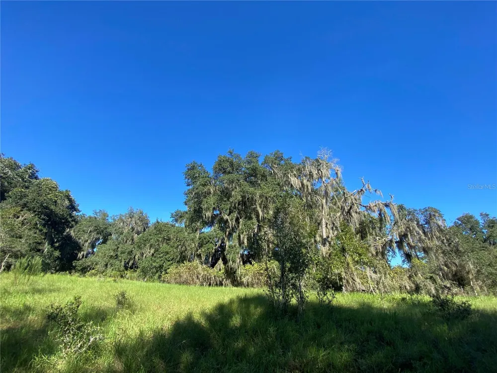 8701 S FRUITION AVENUE Floral City, FL 34436
