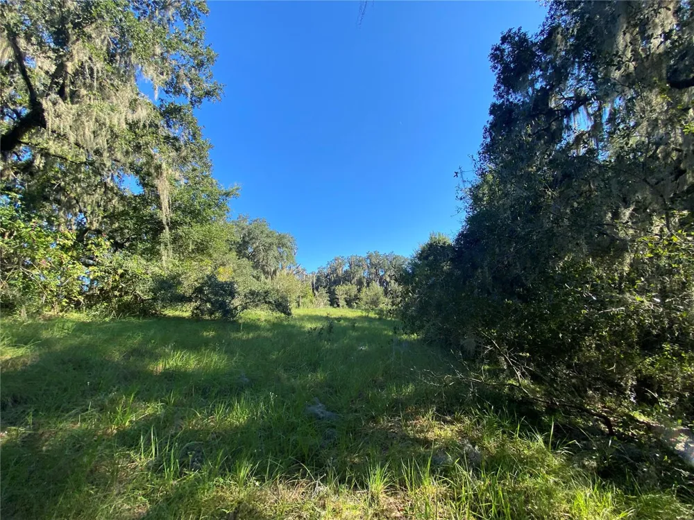 8701 S FRUITION AVENUE Floral City, FL 34436