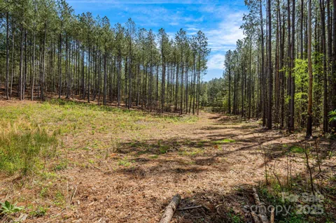 19 Sunset Drive #19