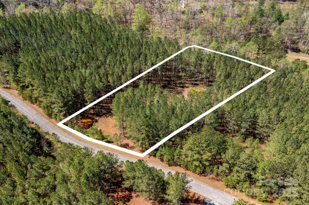 19 Sunset Drive #19 Mill Spring, NC 28756