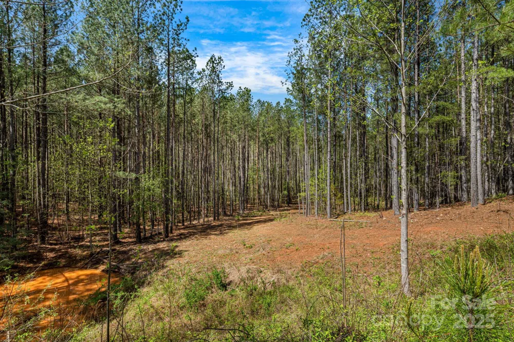 19 Sunset Drive #19 Mill Spring, NC 28756