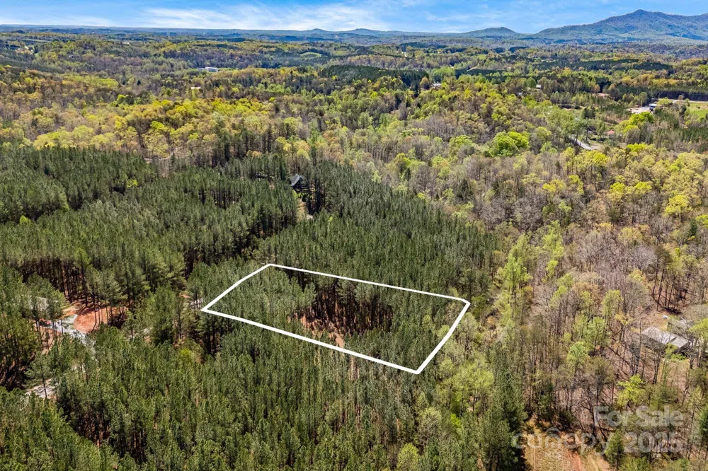 19 Sunset Drive #19 Mill Spring, NC 28756
