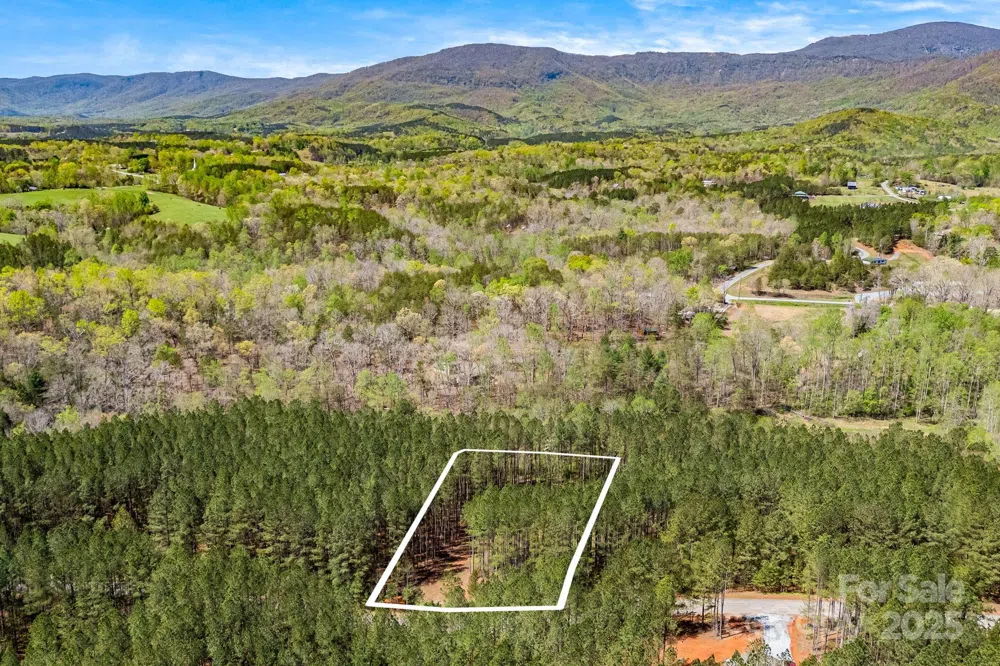 19 Sunset Drive #19 Mill Spring, NC 28756