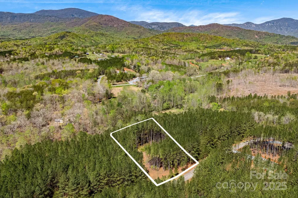 19 Sunset Drive #19 Mill Spring, NC 28756