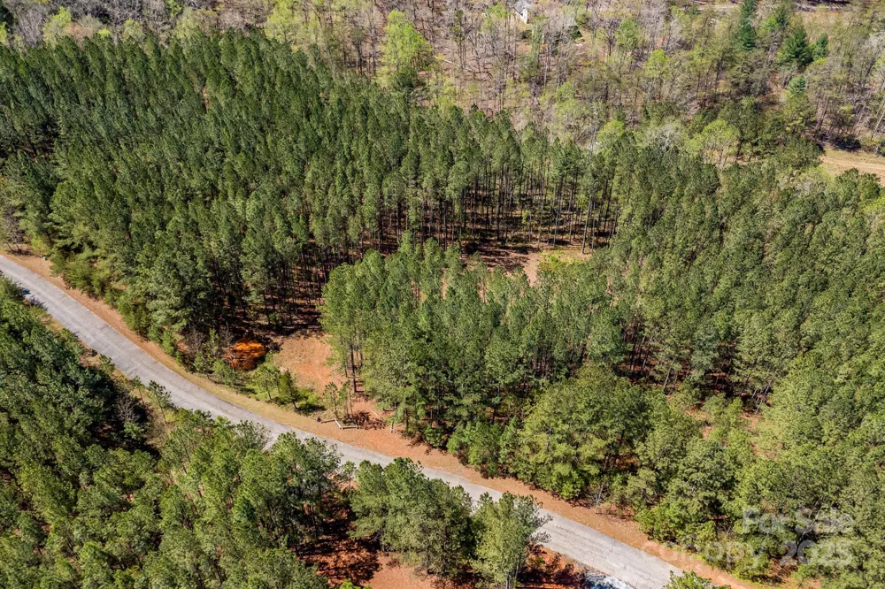 19 Sunset Drive #19 Mill Spring, NC 28756