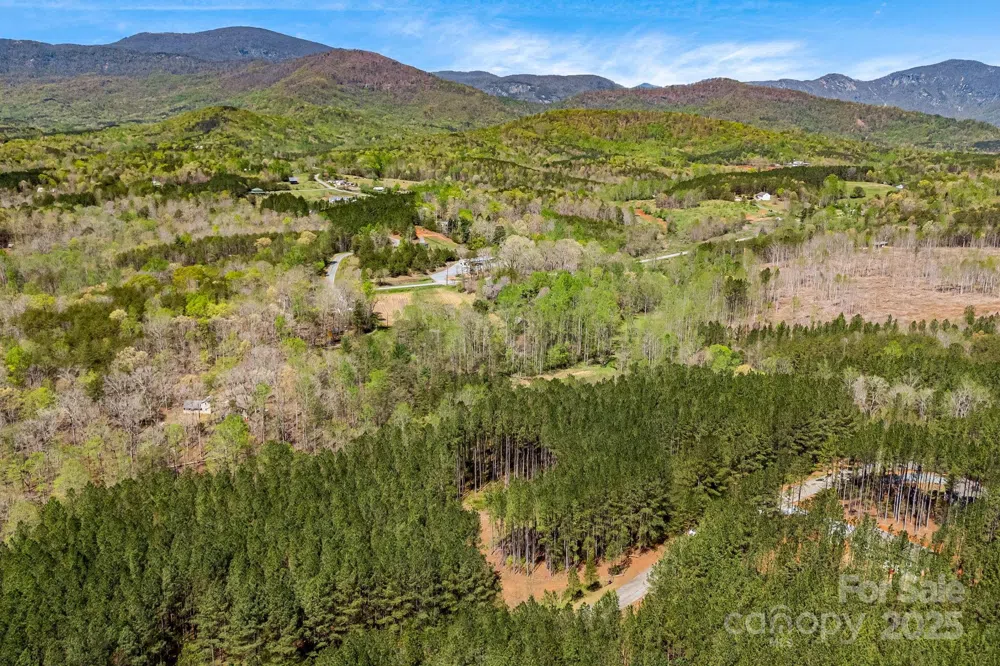 19 Sunset Drive #19 Mill Spring, NC 28756
