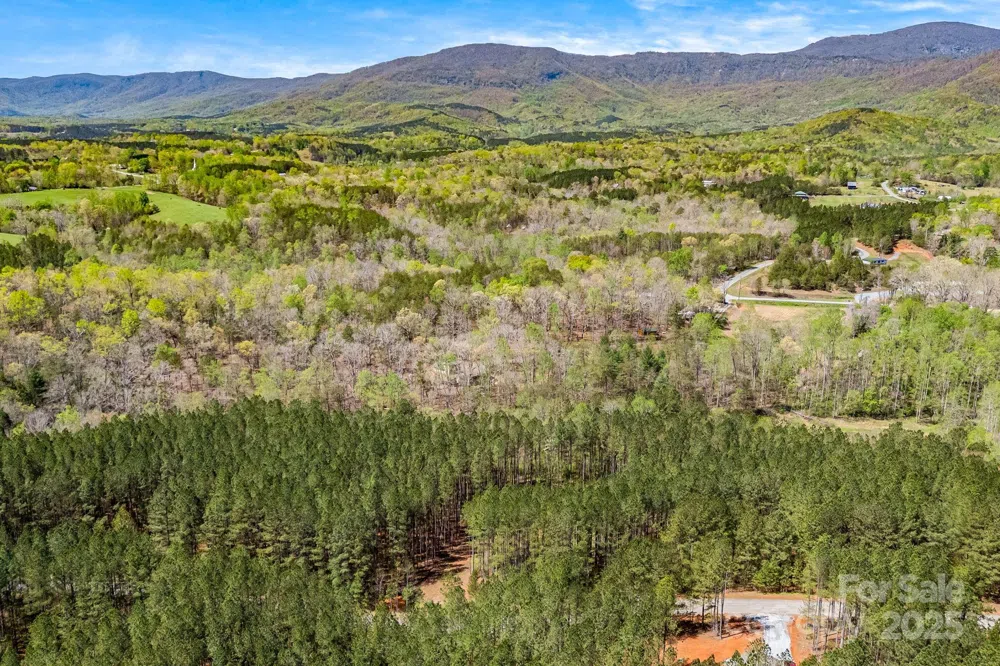 19 Sunset Drive #19 Mill Spring, NC 28756