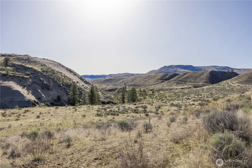 1163 Strahl Canyon Road Grand Coulee, WA 99133