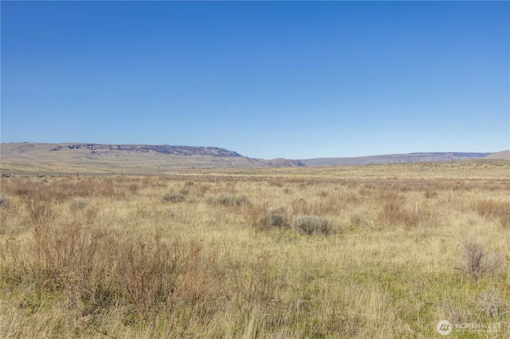 1163 Strahl Canyon Road Grand Coulee, WA 99133