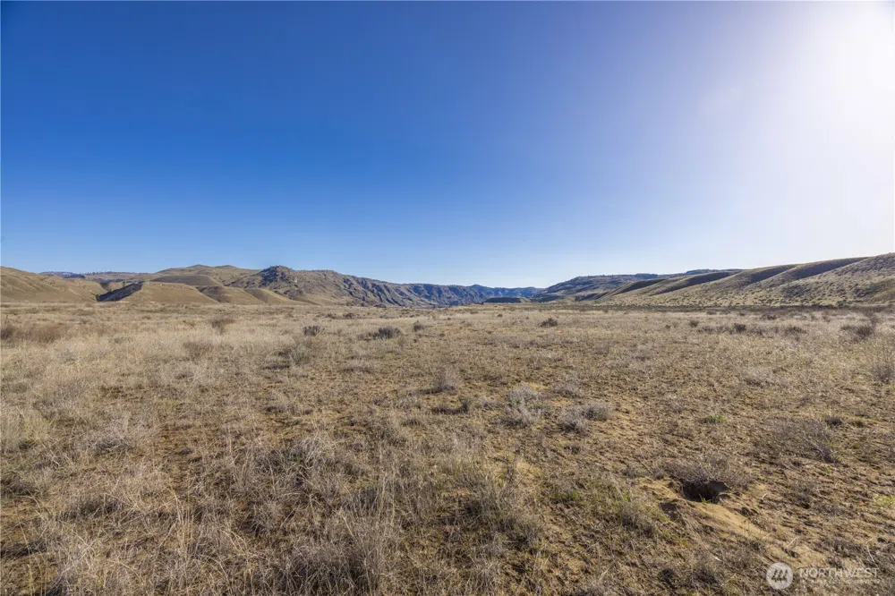 1163 Strahl Canyon Road Grand Coulee, WA 99133