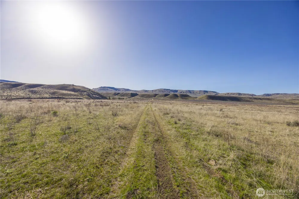 1163 Strahl Canyon Road Grand Coulee, WA 99133