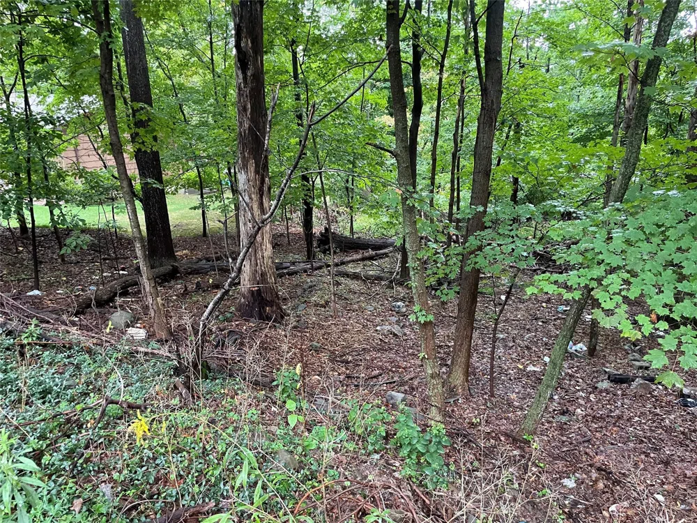 11 Olympus Road Woodbury, NY 10930