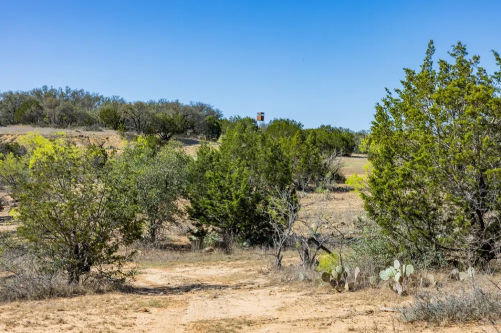 2050 W. 17th Street Brady, TX 76825