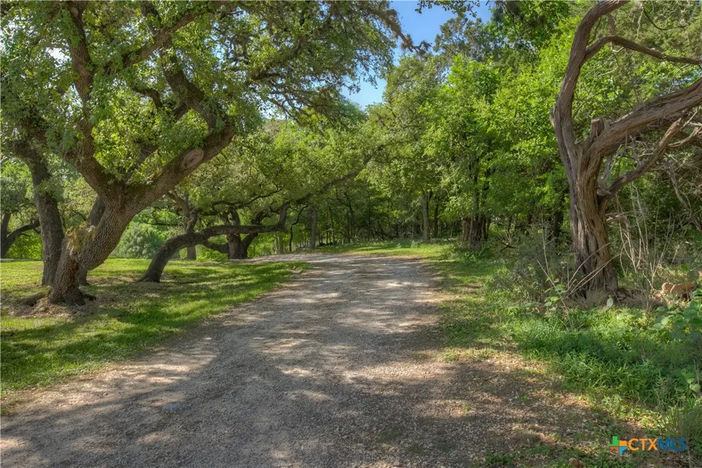 Ervendberg Avenue New Braunfels, TX 78130