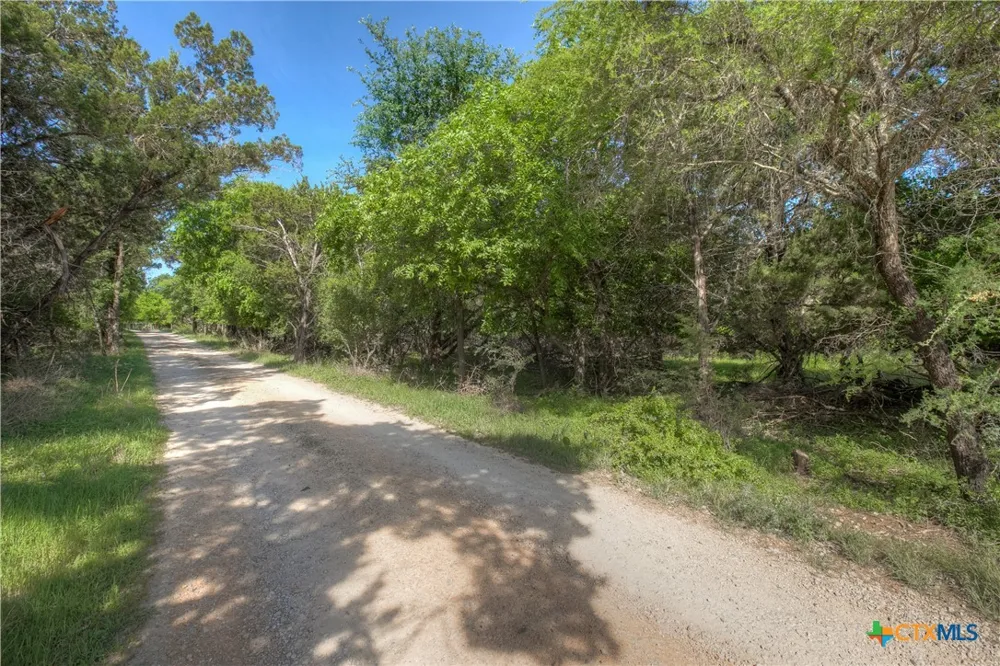 Ervendberg Avenue New Braunfels, TX 78130