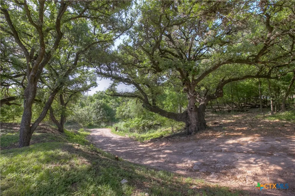 1390 Ervendberg Avenue New Braunfels, TX 78130