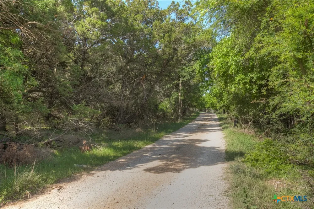 1390 Ervendberg Avenue New Braunfels, TX 78130