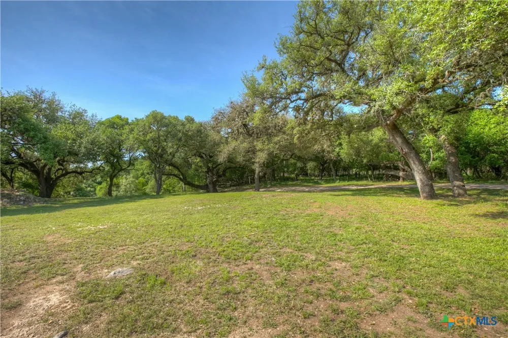 1390 Ervendberg Avenue New Braunfels, TX 78130
