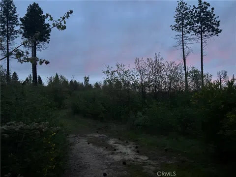 1 hog ranch Road