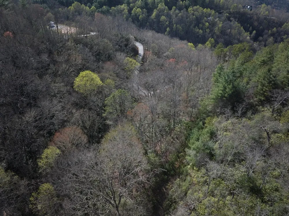 Conley Mountain Association rd. Whittier, NC 28713