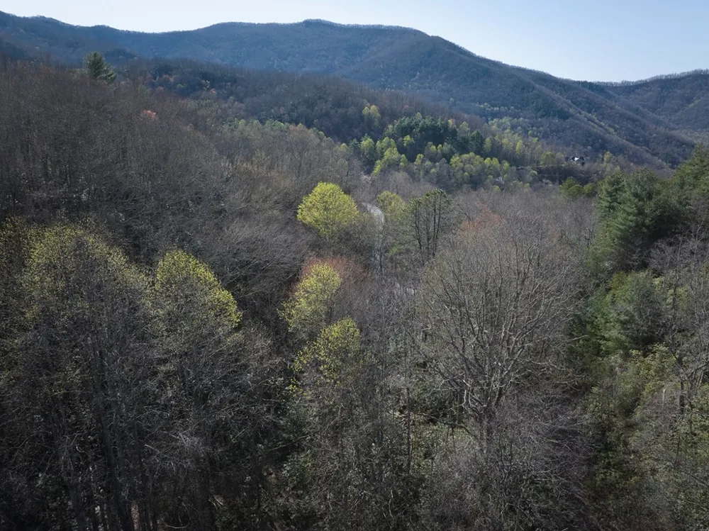 Conley Mountain Association rd. Whittier, NC 28713