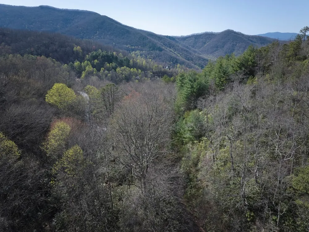 Conley Mountain Association rd. Whittier, NC 28713