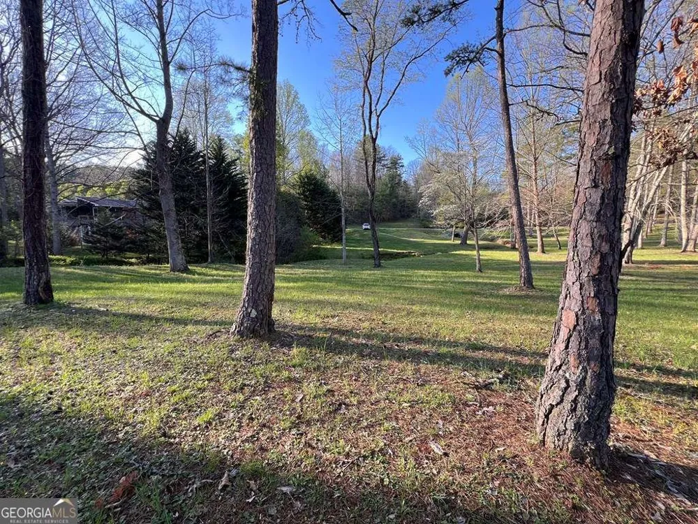LOT 2 Preserve RD Murphy, NC 28906