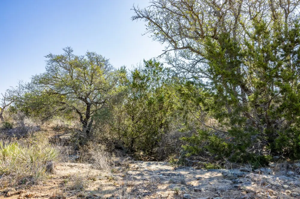 1 W 17th Street Brady, TX 76825