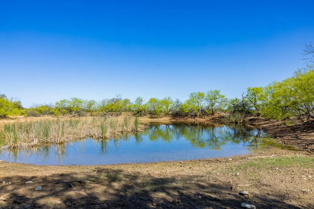 1 W 17th Street Brady, TX 76825
