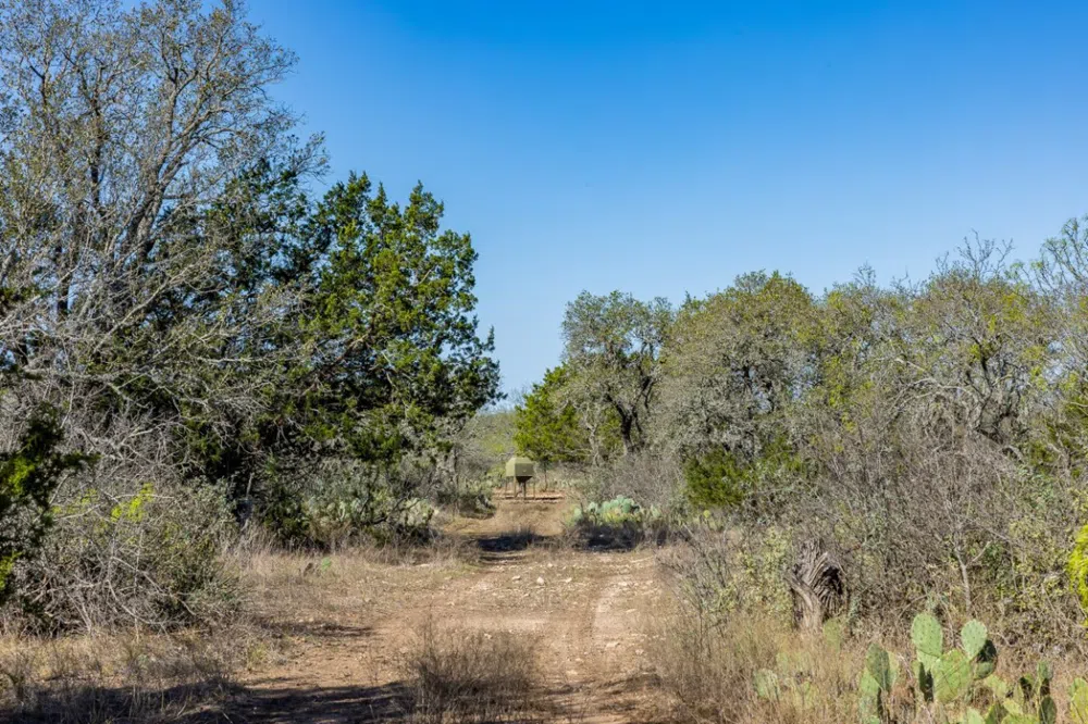1 W 17th Street Brady, TX 76825