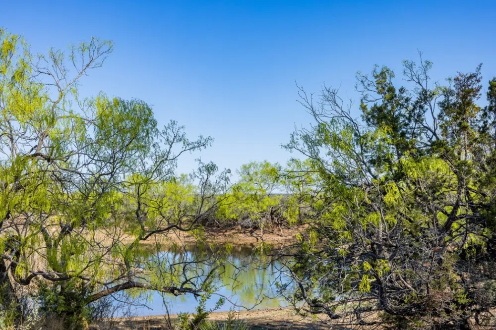 1 W 17th Street Brady, TX 76825