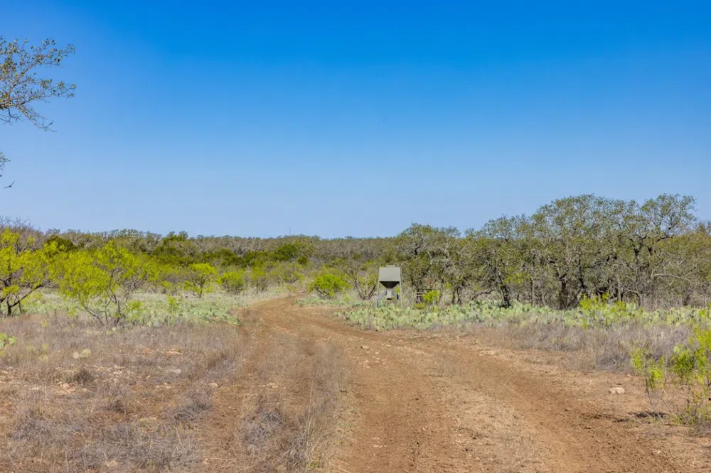 1 W 17th Street Brady, TX 76825