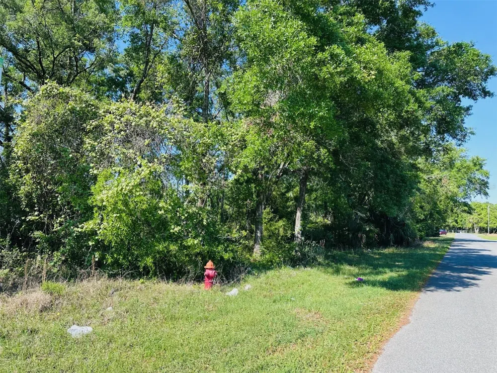 0 YOUNG BOULEVARD Chiefland, FL 32626