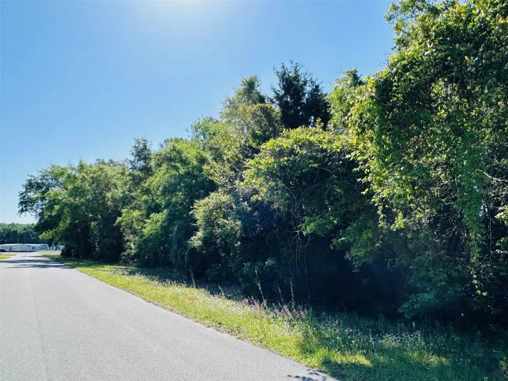 0 YOUNG BOULEVARD Chiefland, FL 32626