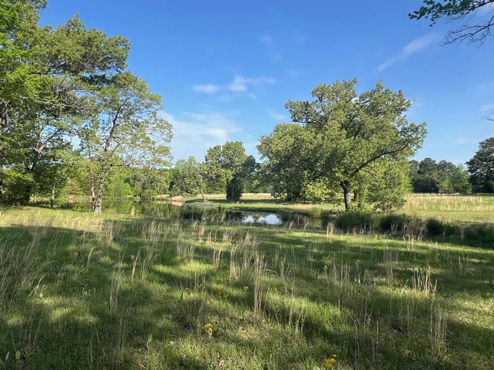 CR 1755 Mt Pleasant, TX 75455