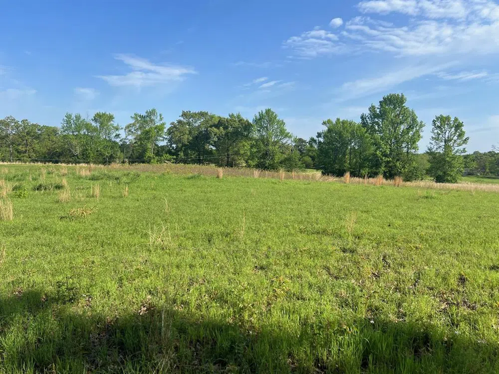 CR 1755 Mt Pleasant, TX 75455
