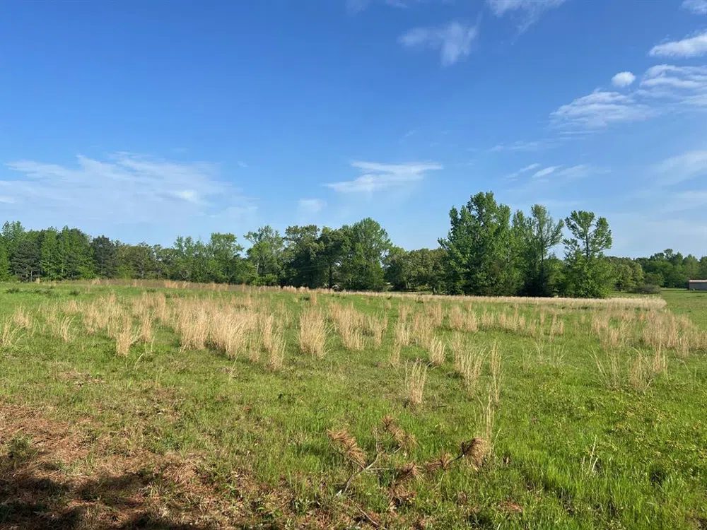 CR 1755 Mt Pleasant, TX 75455