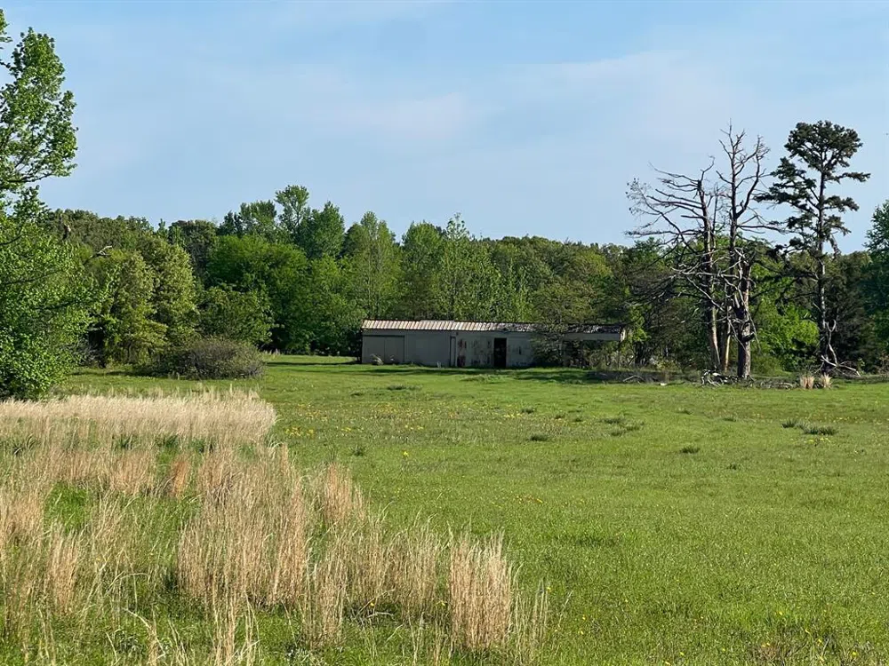 CR 1755 Mt Pleasant, TX 75455