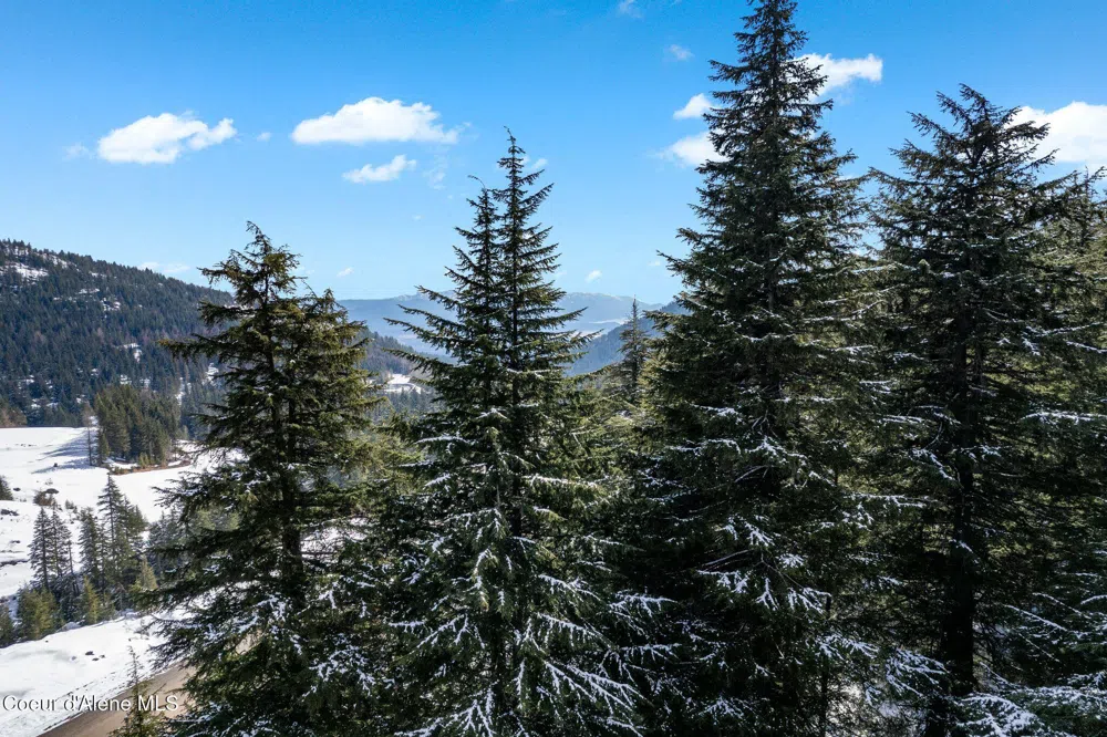 NNA Telemark Rd Blk 8 Lot 16 Sandpoint, ID 83864