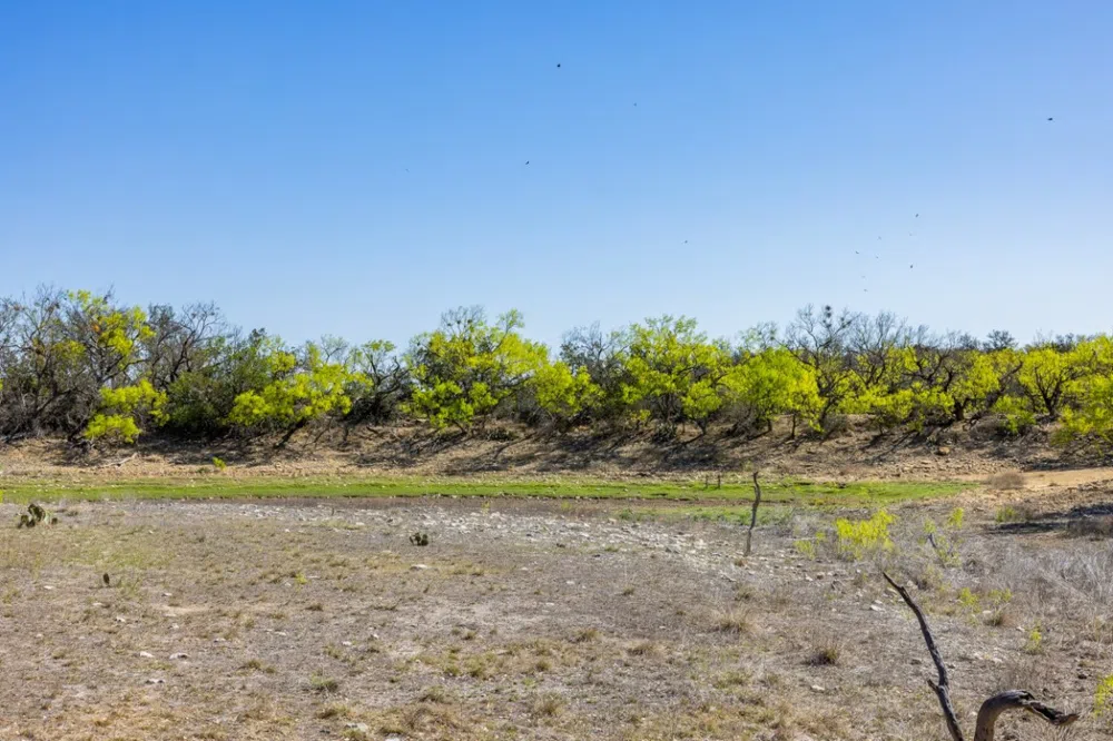 2 W 17th Street Brady, TX 76825