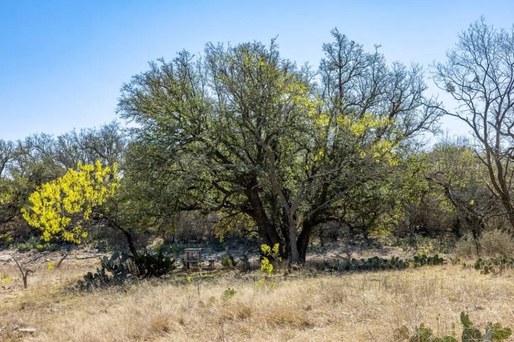 2 W 17th Street Brady, TX 76825