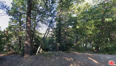 Ponderosa Drive