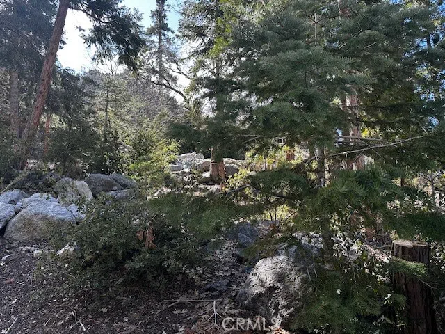 Fir Forest Falls, CA 92339