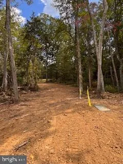 6735 BEVERLY ROAD Broad Run, VA 20137
