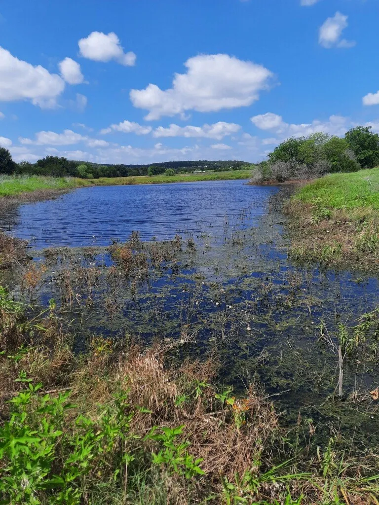 269 Private Road 2362 Meridian, TX 76665