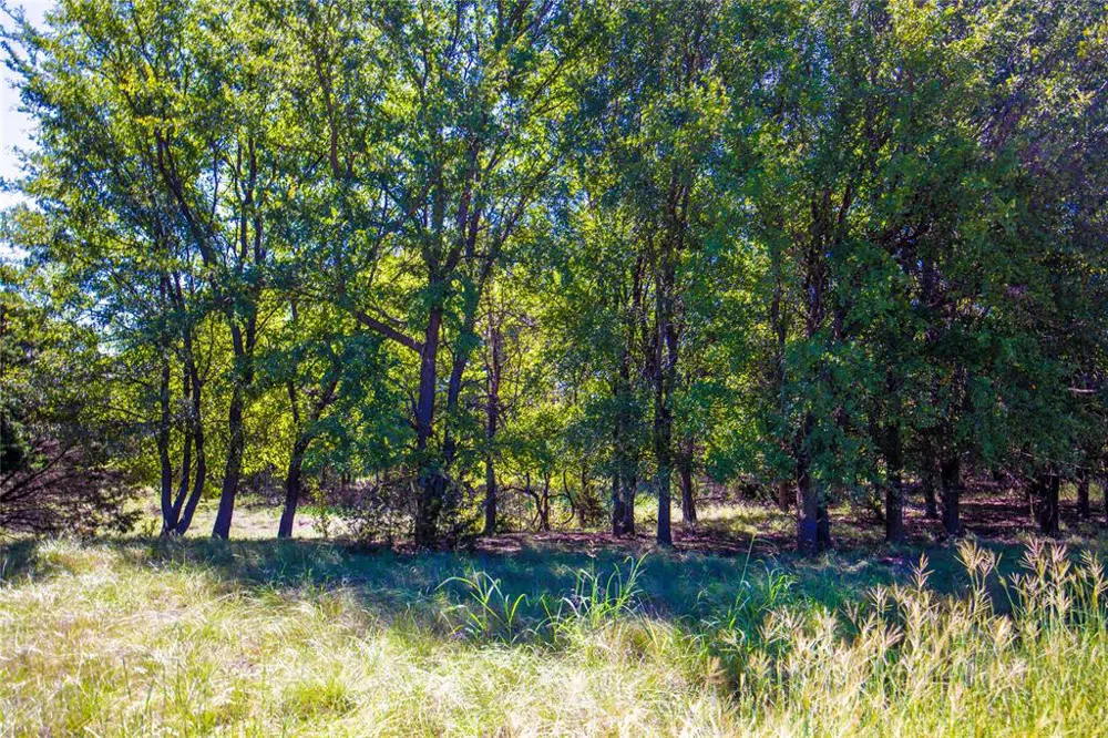 269 Private Road 2362 Meridian, TX 76665
